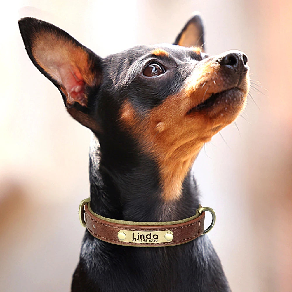 Personalized Leather Padded Dog Collar Customized ID Nameplate Pet Collars For Small Medium Dogs Durable Necklaces Accessories